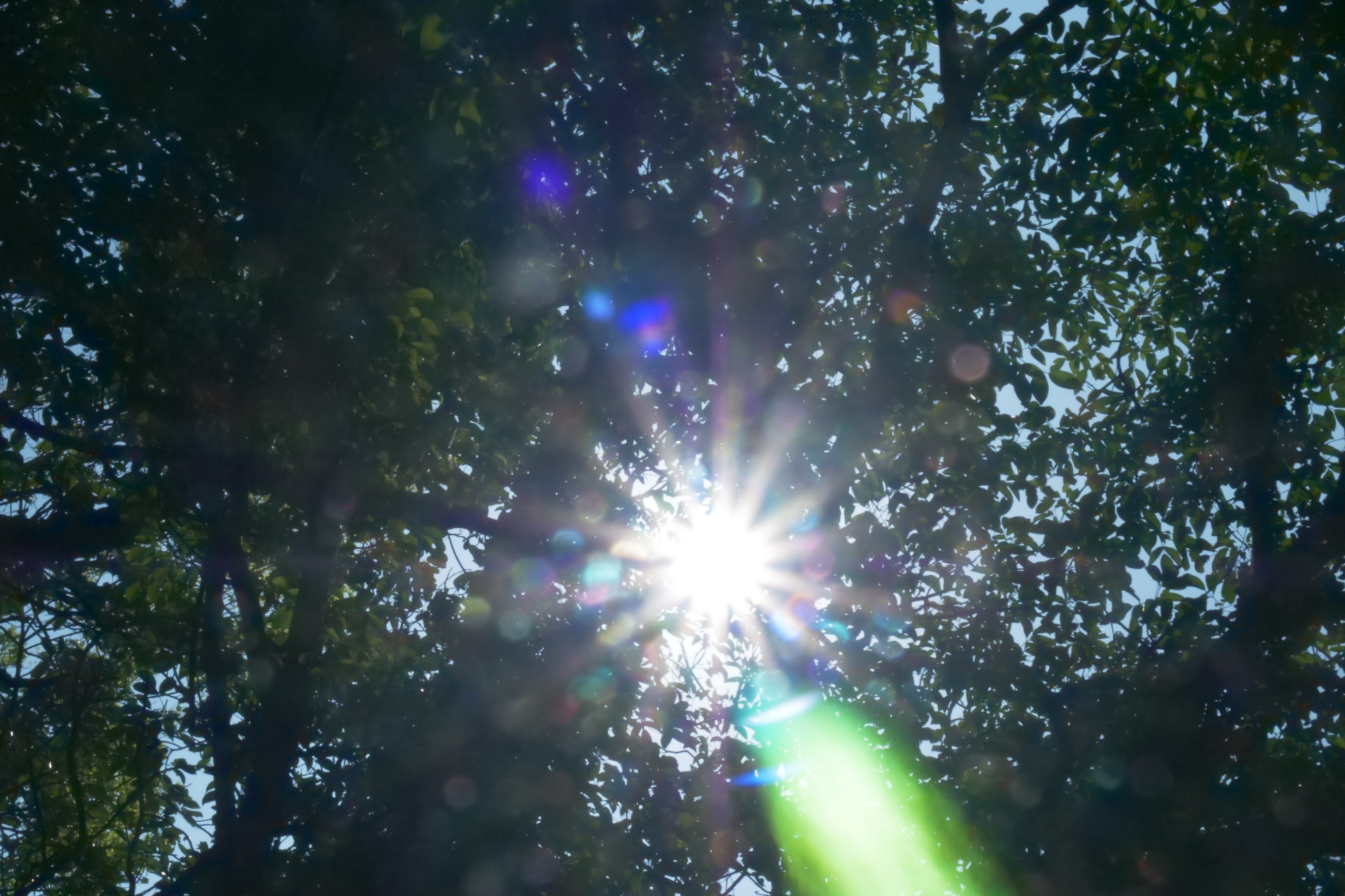 Sunlight flare